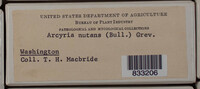 Image Associated With the Occurence